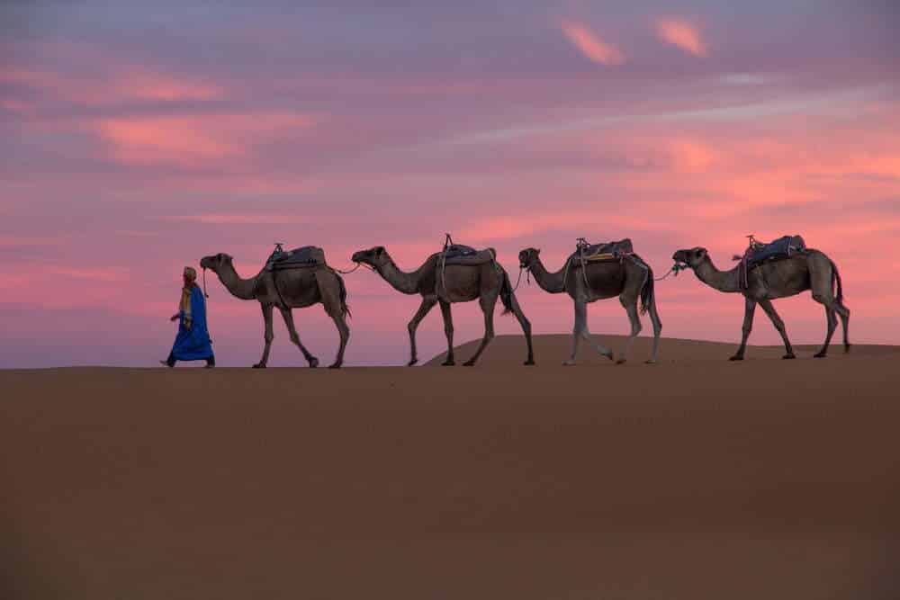 shutterstock 499931749